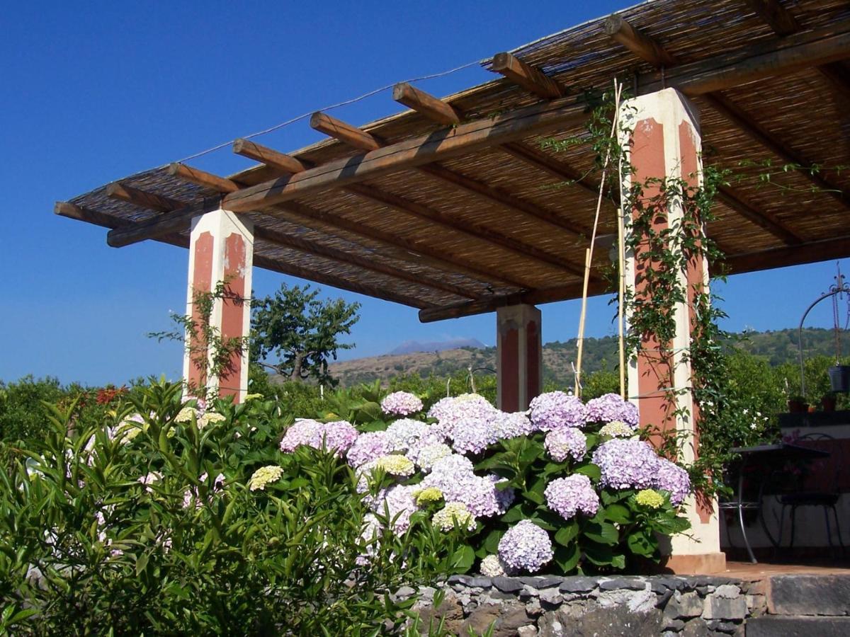 Agriturismo Le Case Di Civi Маскалі Екстер'єр фото